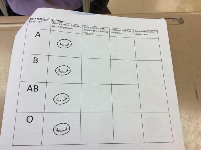 solved elood types and transfusions blood type draw a pic chegg com elood types and transfusions blood type
