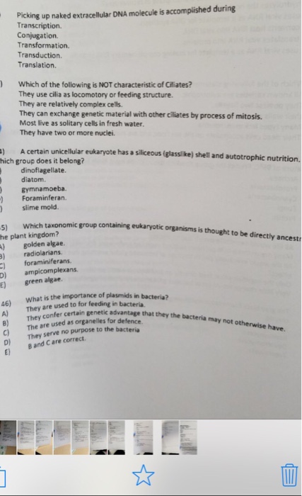 ♘ Which of the following is characteristic of ciliates