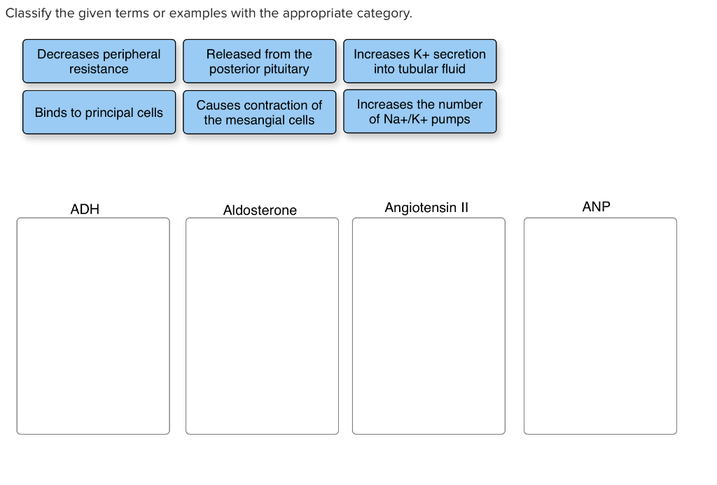 Solved Classify The Given Terms Or Examples With The Appr