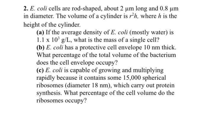 Solved E Coli Cells Are Rod Shaped About 2 Mu M Long An Chegg Com