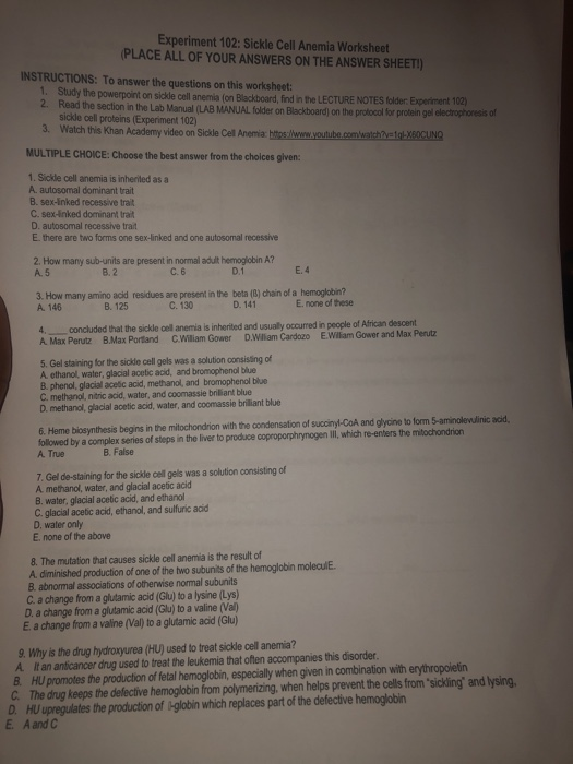 Solved Experiment 102: Sickle Cell Anemia Worksheet PLACE | Chegg.com