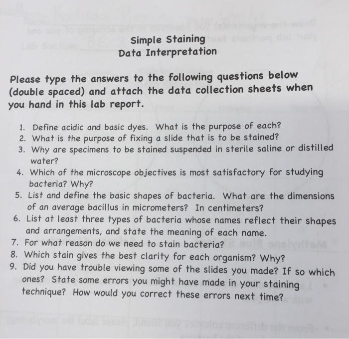 Solved Simple Staining Data Interpretation Please Type Th Chegg Com