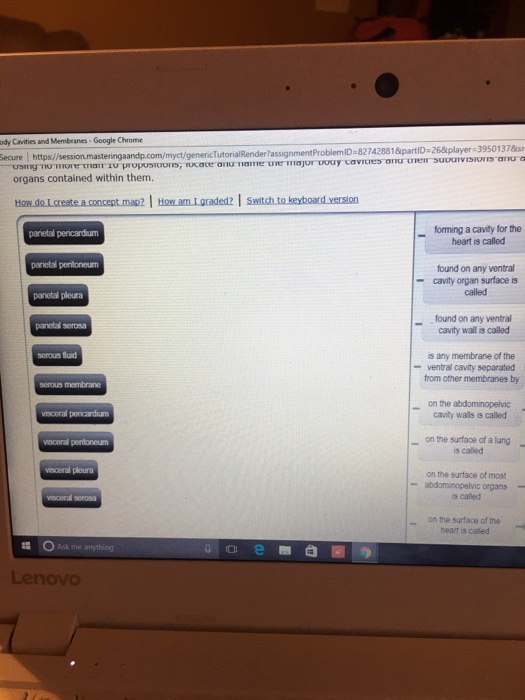 Forming A Cavity For The Heart Is Called Concept Map Solved: Ody Cavities And Membranes Google Chrome Myct/gene 