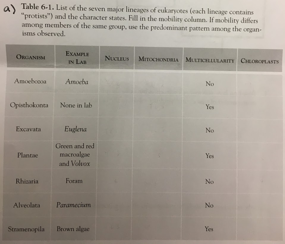 1. Mapped On Questions You Based C) ... Solved: How Eukaryote