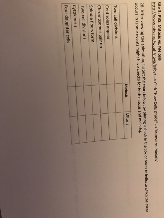 Solved Site 3 Pbs Mitosis Vs Meiosis Chegg Com