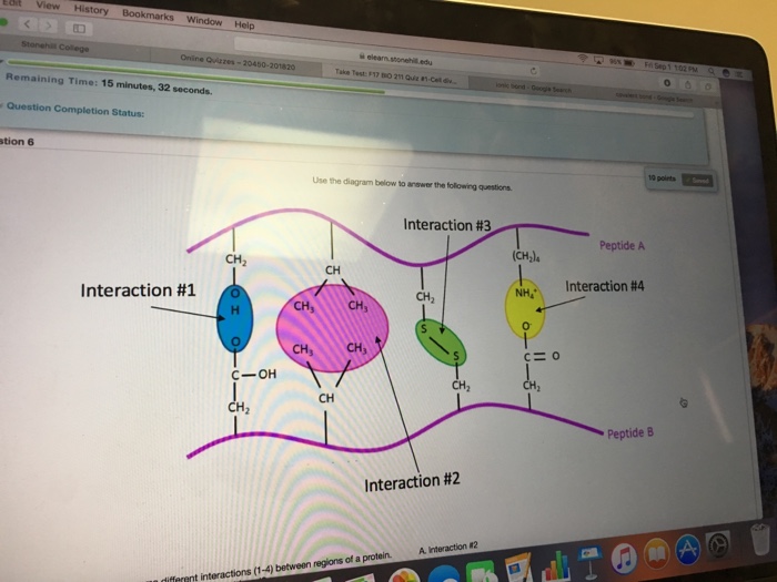 Edit View History WindowHelp Onine Qvizzes-20450-201820 Remaining Time: 15 minutes, 32 seconds. Question Completion Status: tion 6 Use the diagram below to answer the following questions Interaction # 3 Peptide A (CH2) NH Or CH2 CH Interaction #1 Interaction #4 CH2 CHs CH CH CH C-OH CH CH CH2 Peptide B Interaction #2 A Interaction #2 (1-4) between regions of a protein. different in