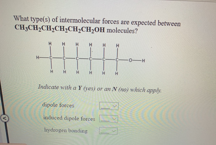 Intermolecular forces and why they are important: [essay example], words gradesfixer