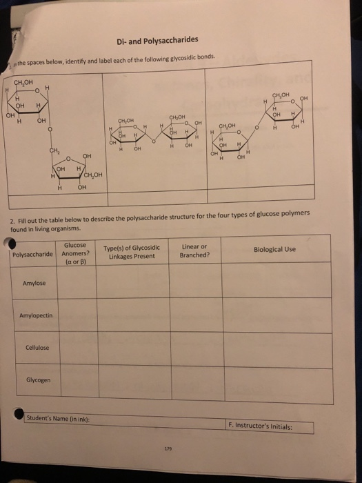Di- and Polysaccharides n the spaces below, identify and label each of the following glycosidic bonds. CH,OH он OH H OH он н нон нон нон OH H H OH нон Он н нон 2. Fill out the table below to describe the polysaccharide structure for the four types of glucose polymers found in living organisms. Linear or Biological Use Polysaccharide Anomers? Typefs) of Glycosidic Linkages Present Branched? (a or B) Amylopectin Cellulose Glycogen Students Name (in ink) F. Instructors Initials
