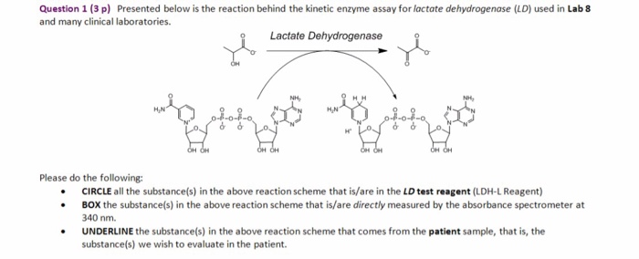 Solved Presented Below Is The Reaction Behind The Kinetic Chegg Com