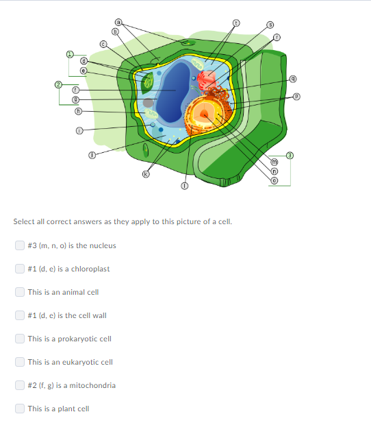 Solved Dr Select All Correct Answers As They Apply To Thi Chegg Com