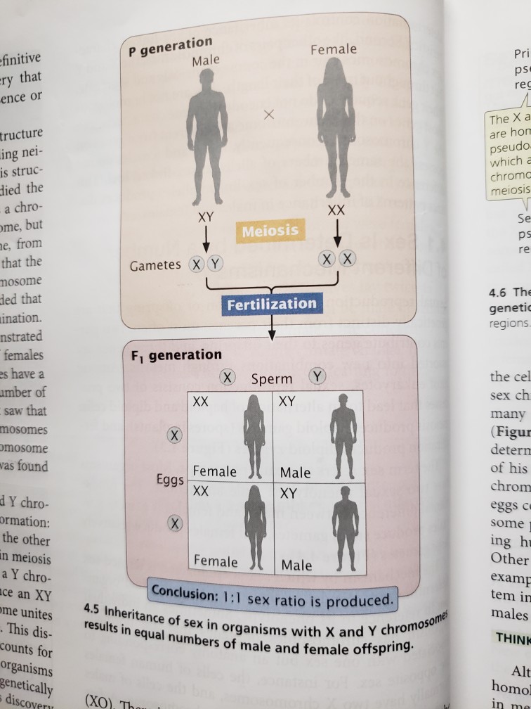 The Question And The Figure Chegg Com