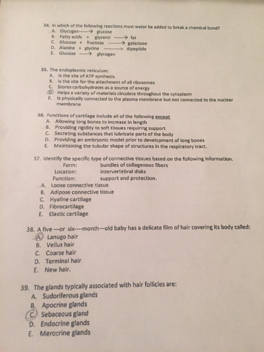 Solved 34 In Which Of The Following Reactions Must Water