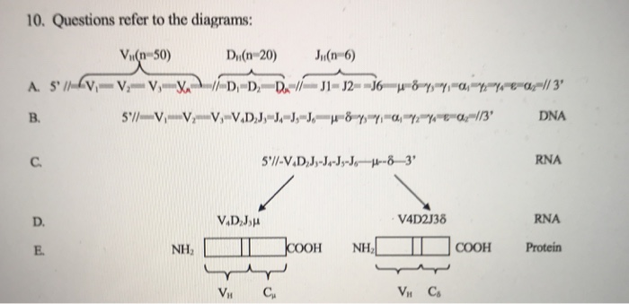 Solved 10 Questions Refer To The Diagrams Vi N 50 Di N Chegg Com