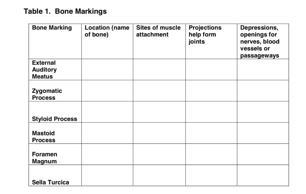 Solved Table 1 Bone Markings Bone Marking Location Name Chegg Com