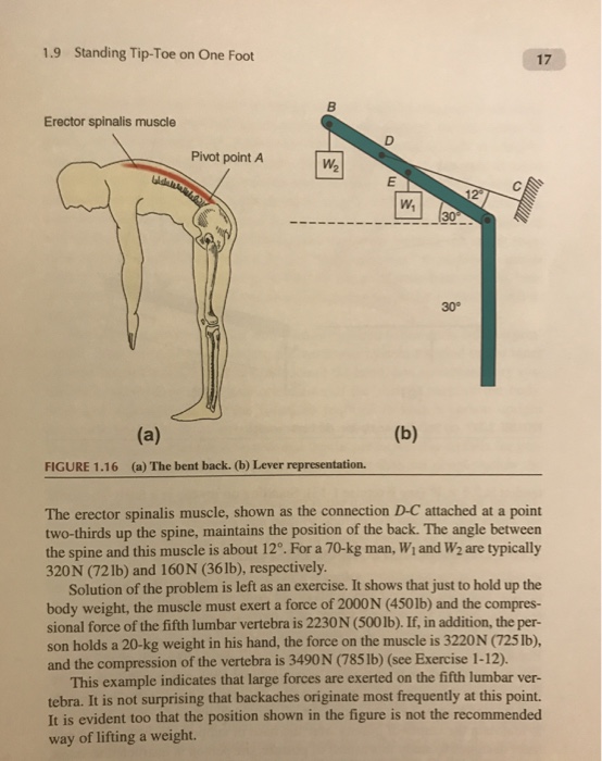 Function360 on X: By placing a towel behind your lower back, you are  restoring the lower back curve, which results in sitting more upright and  your shoulders aren't rolled forward. This can