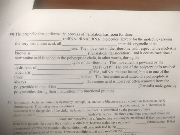 Solved 30 The Organelle That Performs The Process Of Tra Chegg Com