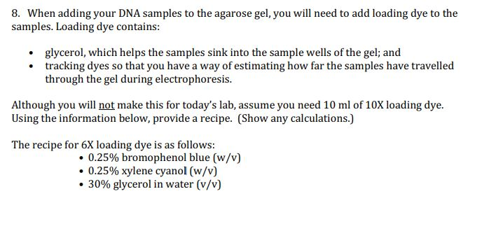 Dna Samples To The Agarose Gel