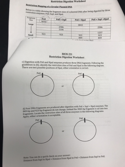 restriction enzymes digestion