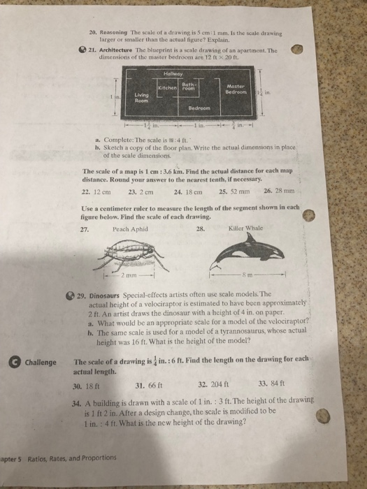 Solved If Someone Could Answer All But 22 26 I Would Gre