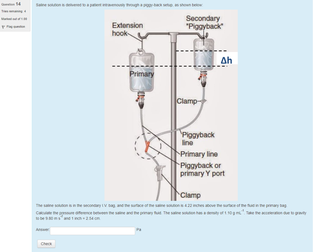 Piggyback Iv Bags Discounted