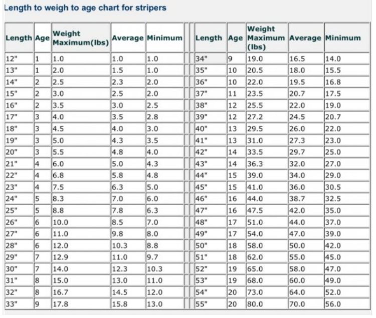 Striped Bass Weight Chart