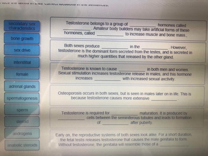 Solved secondary sex Testosterone belongs to a group of Chegg image