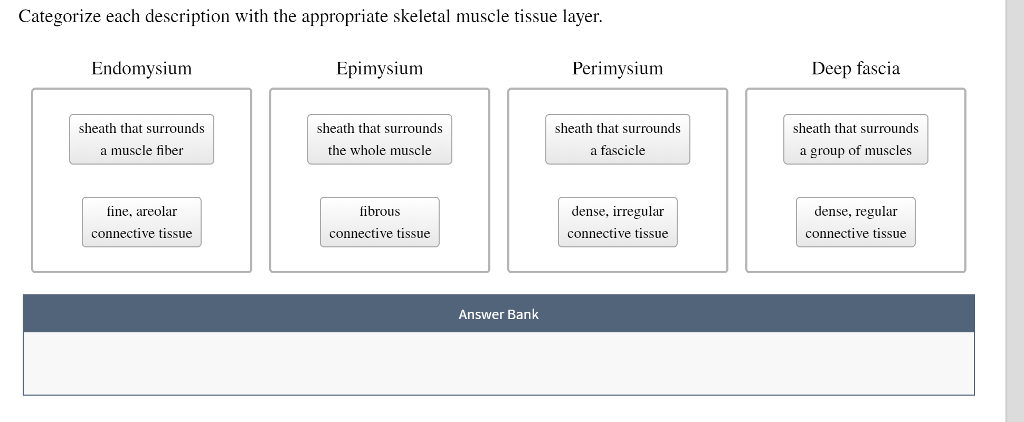 Solved Categorize Each Description With The Appropriate Chegg Com