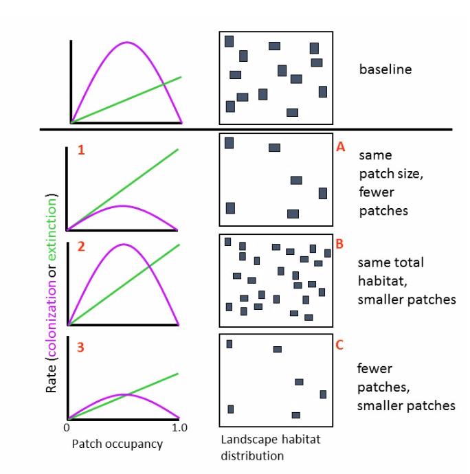 Distribution between small, medium and large size patches of