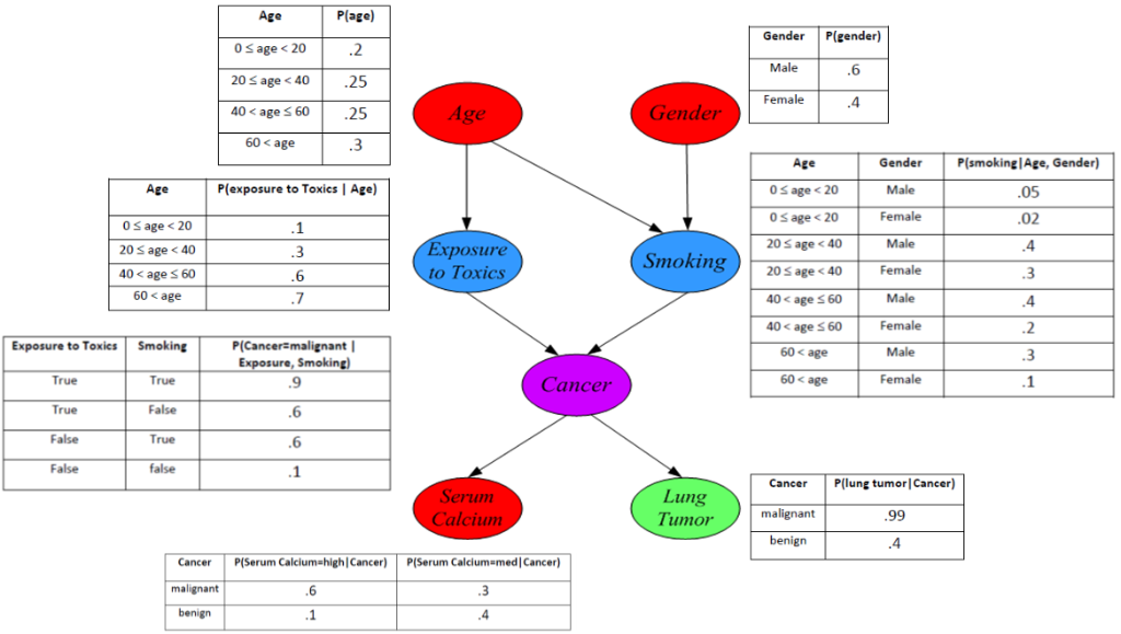 P(age) GenderP(gender) 0 S age < 20 20 S age<40 40 < age s 60 60 < age Male 25 Age 25 Genderemale Gender P(smoking Age, Gende