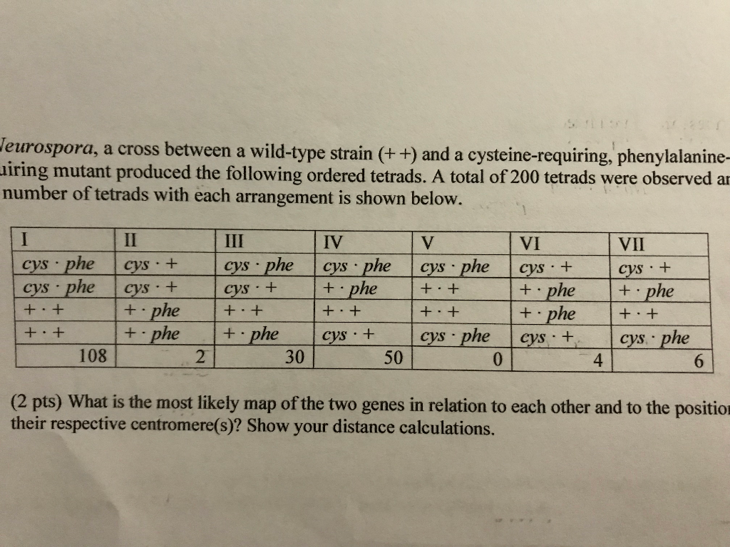 Solved 4 In Neurospora A Cross Between A Wild Type Strai Chegg Com