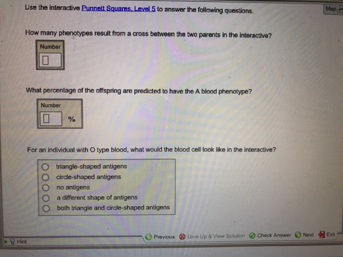 Solved Use The Interactive P Level 5 To Answer The Follow