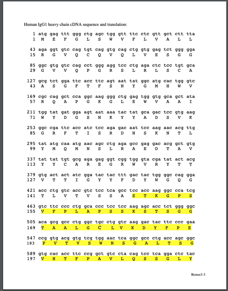 Solved Genetic Code Below Part I Propose Which Amino A Chegg Com