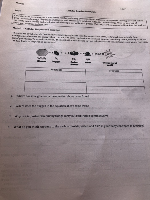 Solved Name Hour Cellular Respiration Pogil Why Cells Chegg Com