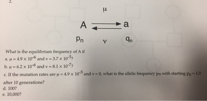 Solved 2 Pn An What Is The Equilibrium Frequency Of A If Chegg Com