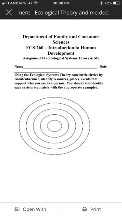 ecological family systems theory examples