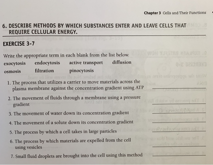 Solved Chapter 3 Cells And Their Functions 6 Describe Chegg Com