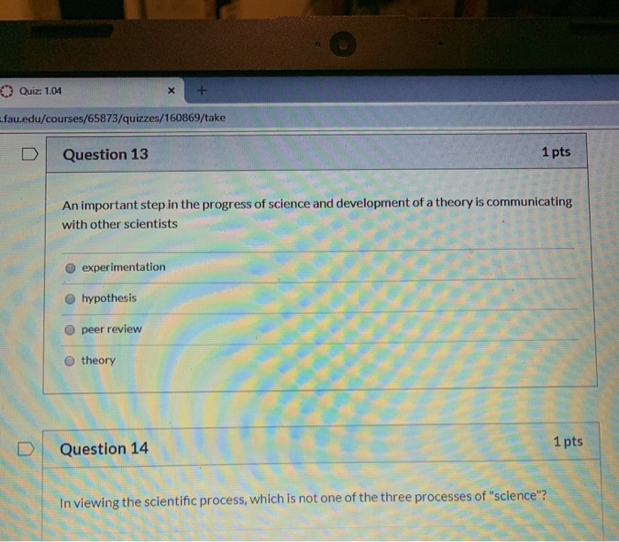 Solved: D Question 1 1 Pts Peer Review Simportant In Whlic... | Chegg.com