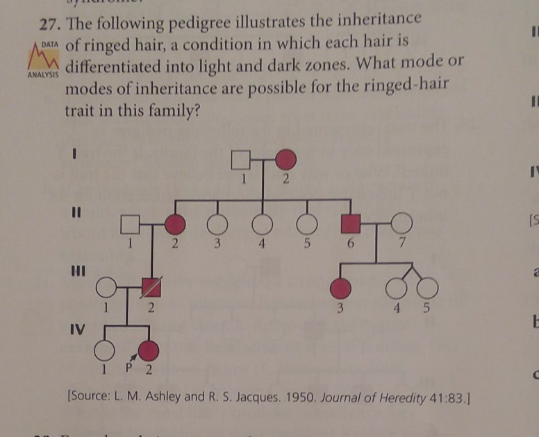 27. The following pedigree illustrates the inheritance ADNTA of ringed hair, a condition in which each hair is NAL differentiated into light and dark zones. What mode or ANALYSIS modes of inheritance are possible for the ringed-hair trait in this family? IV 53 ISource: L. M. Ashley and R. S. Jacques. 1950. Journal of Heredity 41:83.]