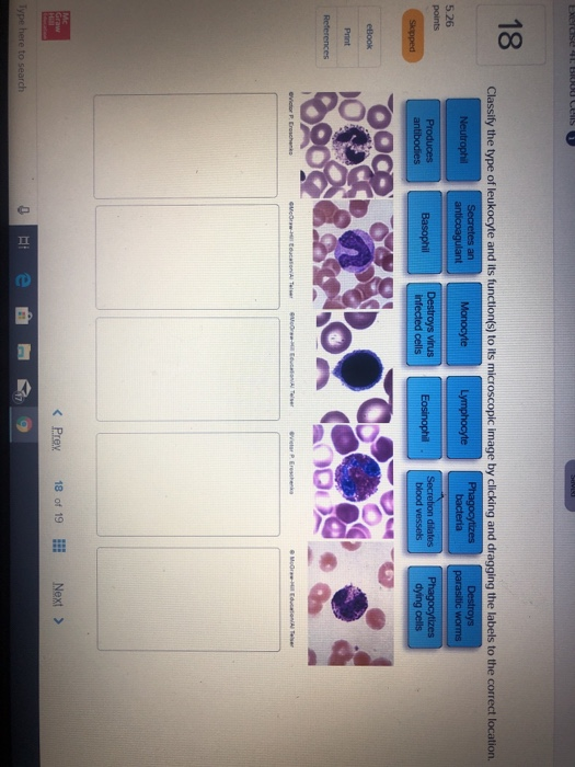 Who taught the first teacher picture