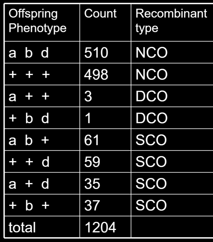 Solved Can Someone Explain How The Double Crossovers And Chegg Com
