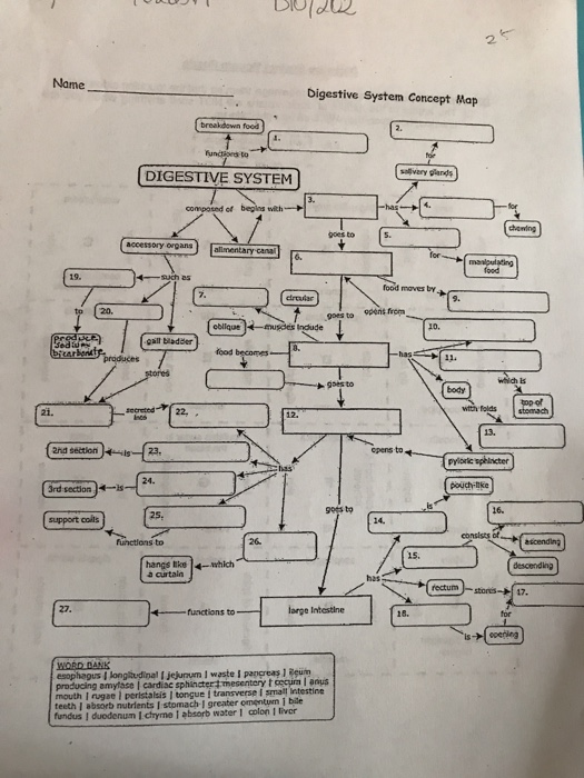 Solved Name Digestive System Concept Map Breakdown Food F