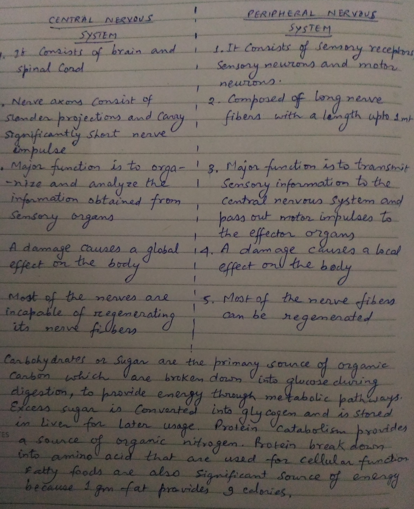 CENTRAL NERyous SySTEM Sem bny-recem ﹂i.It Ctraiotr Seey me and emamy rece -3k-Com asats.of brain hinal Condl hert n enve is