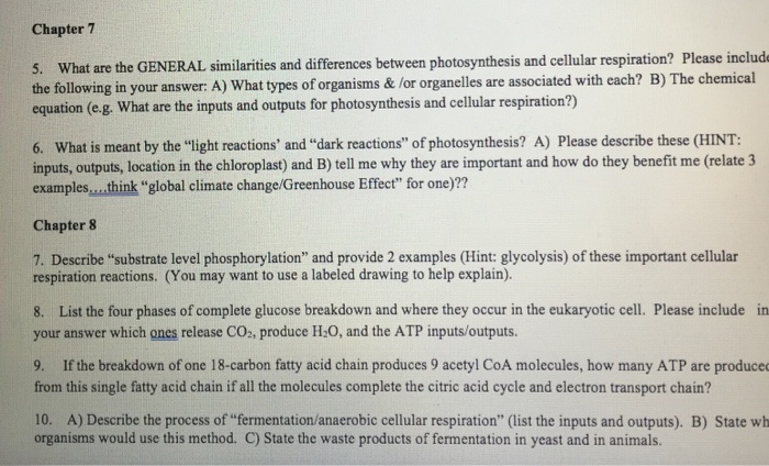 Solved Chapter 7 5 What Are The General Similarities And Chegg Com