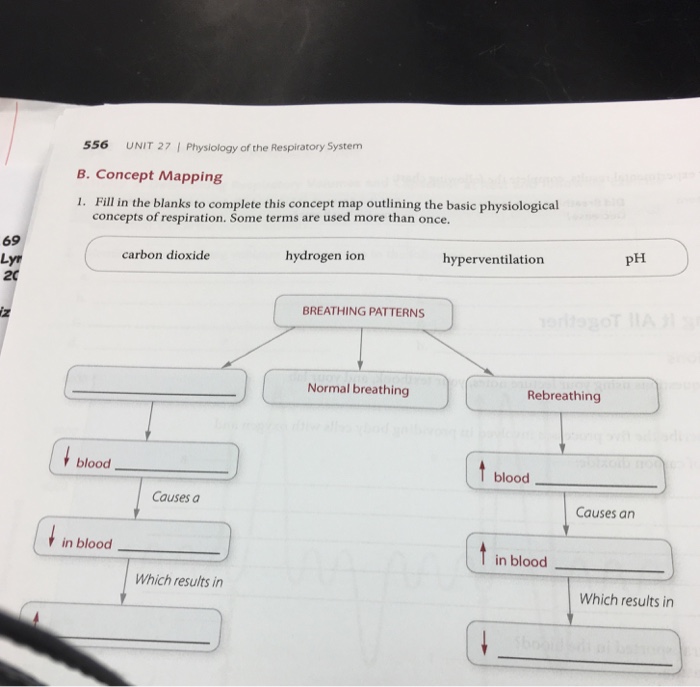 respiratory system concept map