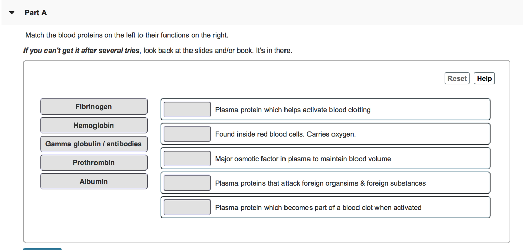 Solved Part A Match The Blood Proteins On The Left To The Chegg Com