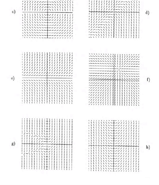 Slope fields worksheets picture