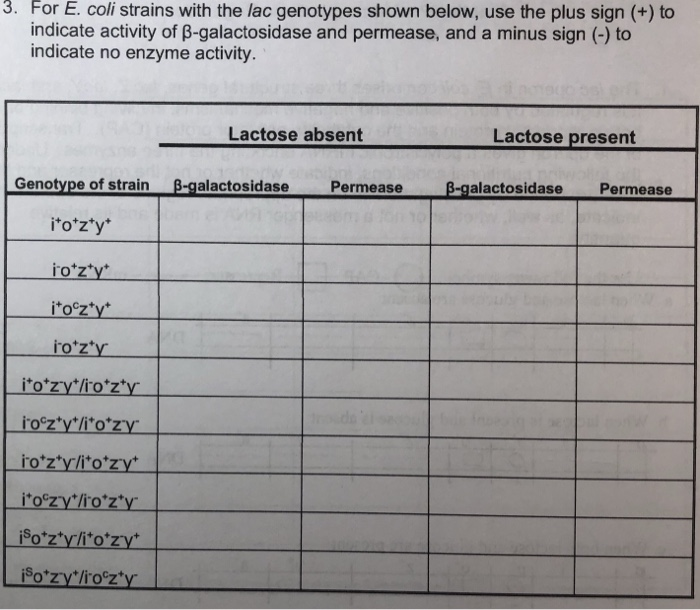 Solved 3 For E Coli Strains With The Lac Genotypes Show Chegg Com