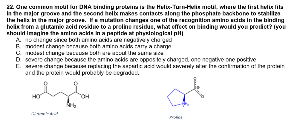 helix turn helix motif