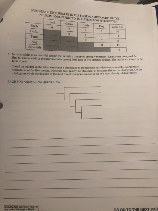 Number Of Differences In The First 60 Amino Acids Of Chegg 