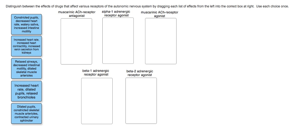 Solved Distinguish Between The Effects Of Drugs That Affect Chegg Com